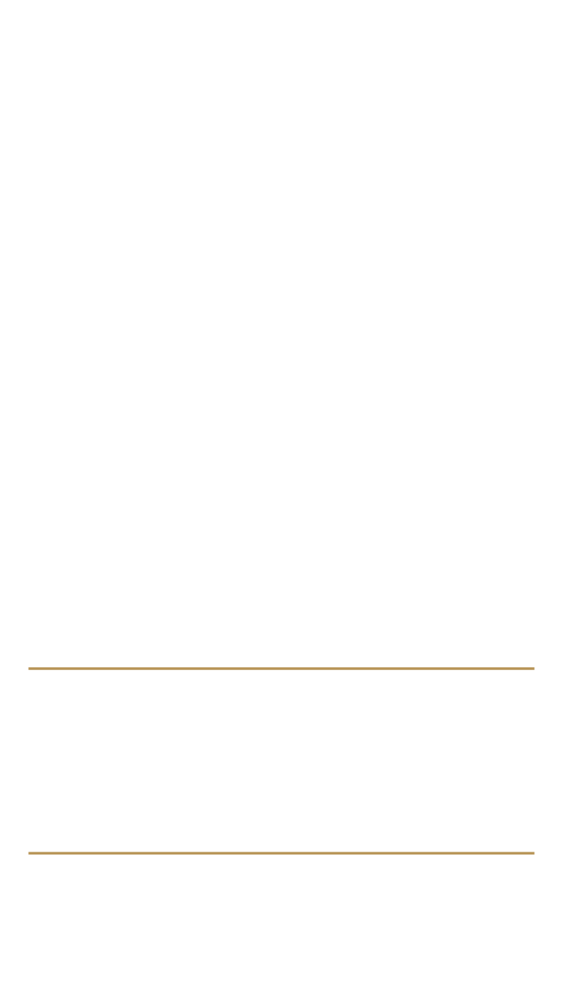 Tivon View Mobile 150_1